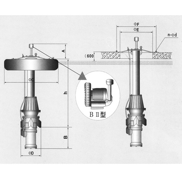 ZXPQ-BⅡ加強型複葉推流式潛水曝氣攪拌兩用機